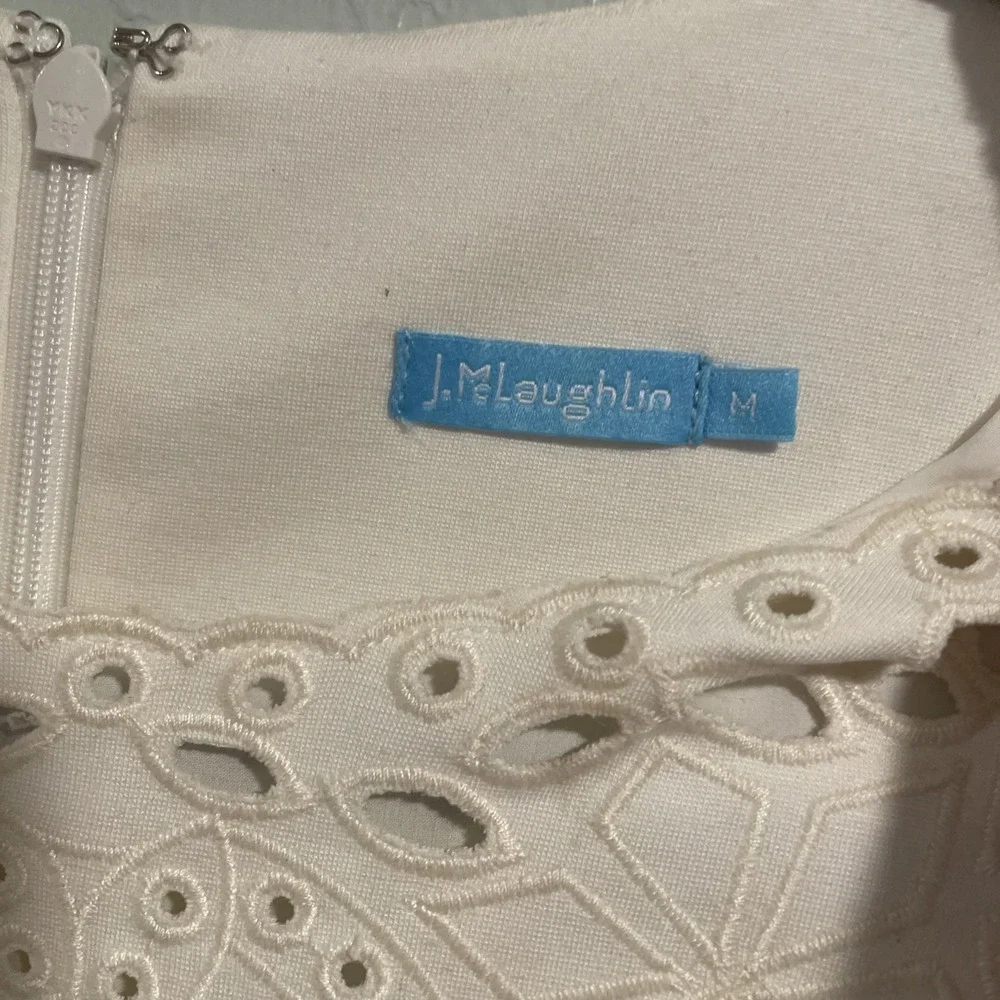 J McLaughlin Classic‎ Ivory Eyelet Embroidered Sleeveless Sheath Dress Sz medium - Picture 4 of 9